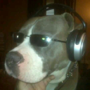 pitch perfect Discord server icon