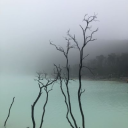 𝕿𝖍𝖊 𝖁𝖆𝖒𝖕𝖎𝖗𝖊 𝖉𝖊𝖓 Discord server icon