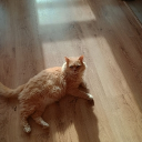 meooooow's guestbook Discord server icon