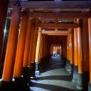 The Home of Eruma_27