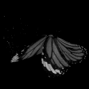 a.