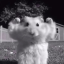 Fit and farts Discord server icon