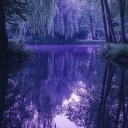 𝕙𝕖𝕣𝕖𝕕𝕚𝕥𝕒𝕣𝕪 Discord server icon