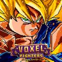 Voxel Fighters icon