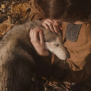 🌙Moonhigh Safe House🐾 Discord server icon