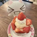 ୨ ۪🍓﹗ sky and niya squad then others ۪ あ ׁ ₊