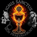 𝙄𝙜𝙣𝙞𝙨 𝙎𝙖𝙣𝙘𝙩𝙪𝙨 ( CRUX Tag ) Discord server icon