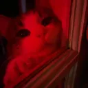 Ikona serwera ekipa Aim_X99