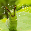 🐛 : ENTOMOLOGY Discord server icon
