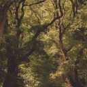 𝘈𝘧𝘵𝘦𝘳 𝘵𝘩𝘦 𝘌𝘯𝘥 - 𝘙𝘗 Discord server icon