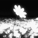 𝑺𝒂𝒄𝒓𝒆𝒅 𝓞𝒂𝒔𝒊𝒔