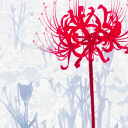 𝑺𝒂𝒄𝒓𝒆𝒅 𝓞𝒂𝒔𝒊𝒔 ™ Discord server icon