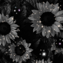 Chill Hangout🖤 Discord server icon