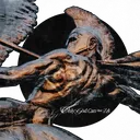 ⁀ ﹒ ﹙ 𝕭𝐄𝐘𝐎𝐍𝐃 ﹚ ࣪　𝕺𝐋𝐘𝐌𝐏𝐔𝐒 .　♱⁺