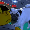 YOU VS PUG COMMUNITY