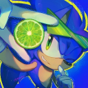 ⌊SOᑎIᑕ SᕼEᑎᗩᑎIGᗩᑎS⌉