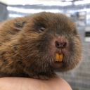 たなかとやまだ Discord server icon