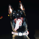 Gator’s creek Discord server icon