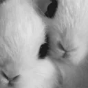 bunzi  Ი𐑼