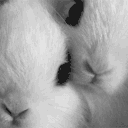 bunzi  Ი𐑼