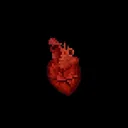 Heart SMP