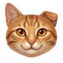 Tabby