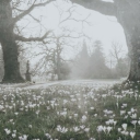 𝙽𝚎𝚘𝚗'𝚜 𝙶𝚊𝚛𝚍𝚎𝚗 Discord server icon