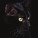 Server icon for Nerdy Group♡