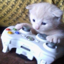 The Cat Tree Discord server icon