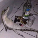 Band Discord server icon