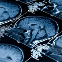 🩺   ducklings Discord server icon