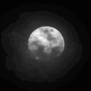 𑣲 𝐚 𝐜𝐥𝐚𝐧𝐝𝐞𝐬𝐭𝐢𝐧𝐞 𝐦𝐞𝐞𝐭𝐢𝐧𝐠༘ Discord server icon