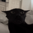 Larry Community® Discord server icon