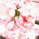 ‧˚₊•୨ 𝓣𝓱𝓮 𝓒𝓪𝓽𝓱𝓮𝓭𝓻𝓪𝓵 ୧•‧₊˚⊹