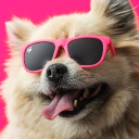 whimsy hotel Discord server icon