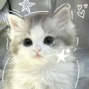 ♯. Uwucord ⌇ Discord server icon