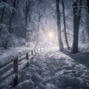 Flynn‘s MM Service © discord icon