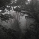 𖤐 The Dungeon 𖤐 Discord server icon