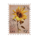 𝒔𝒖𝒏𝒄𝒓𝒆𝒔𝒕 Discord server icon