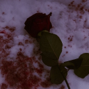 𓏵 Rosebound Hearts 𖹭 Discord server icon