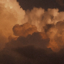 The Cozy Meadow Discord server icon