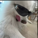 The Absolute Twins Discord server icon