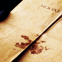 Everbloom Academy -  Marauders Modern Uni AU Discord server icon