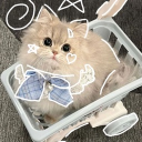 ♯. Uwucord ⌇ Discord server icon