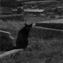 𝔗𝔥𝔢 𝔠𝔢𝔪𝔢𝔱𝔢𝔯𝔶 𐕣