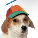 Dog Sun Party Discord server icon