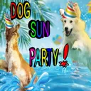 Dog Sun Party