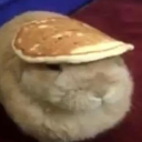 Bunny Burrow Discord server icon