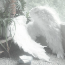 𝓐𝓷𝓰𝓮𝓵𝓲𝓬 𝓒𝓪𝓽𝓪𝓵𝓸𝓰𝓼 Discord server icon