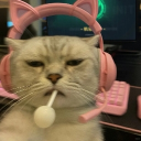 /fɪʟʟᴏʀʏ ✧₊˚ Discord server icon